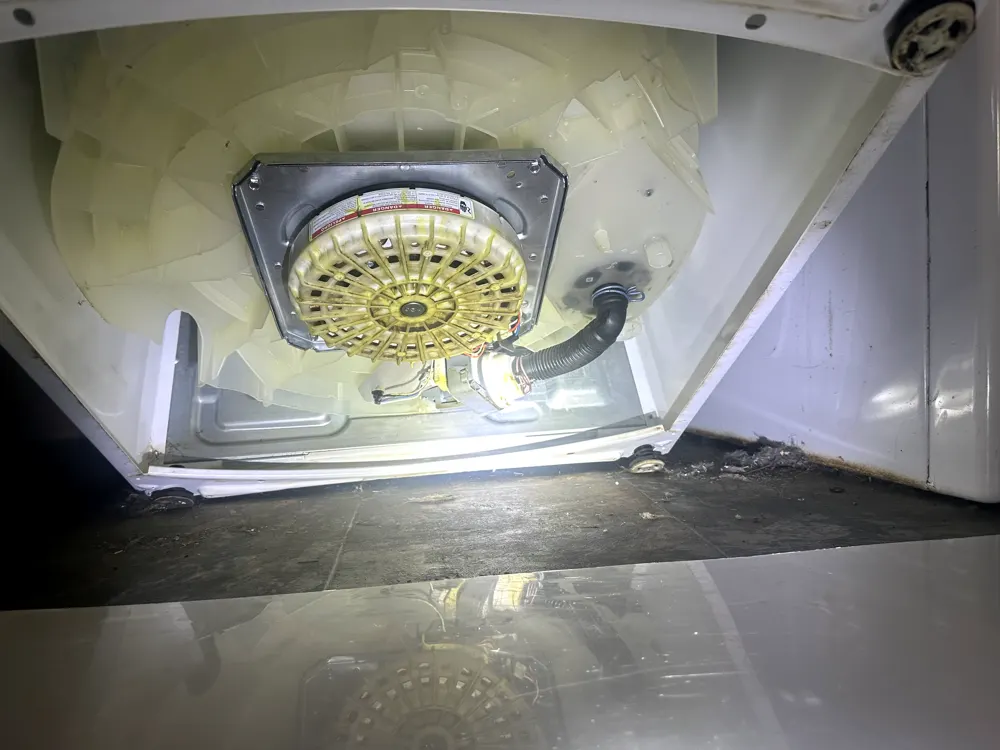 Reassembled washer drive with new bearing installed